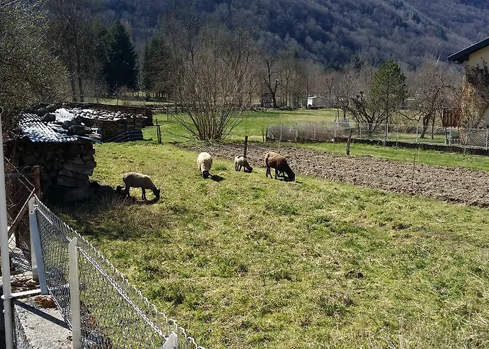 Nyaraló L'or De Fabiol Orlu