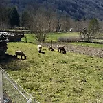 Ferienhaus L'or De Fabiol Orlu