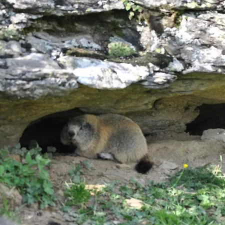 Σπίτι διακοπών L'or De Fabiol *